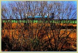 _DSF8940