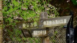 DSCN9968