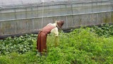 DSCN2321