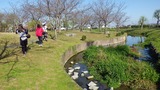 IMGP2167