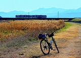 DSCF3403
