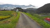 DSCN2449