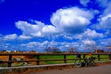 DSCF1214