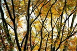 DSCF1752