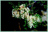 DSCF9197