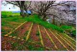 DSCF1385