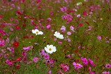 DSCN2668