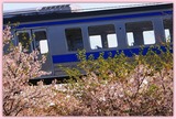 DSCF3842