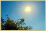 DSCF1191vb