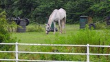 DSCN0221