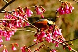DSCF3548