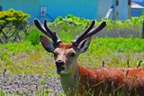 DSCN9649