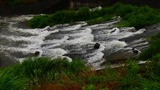 DSCN0271