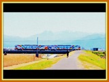 DSCN2165