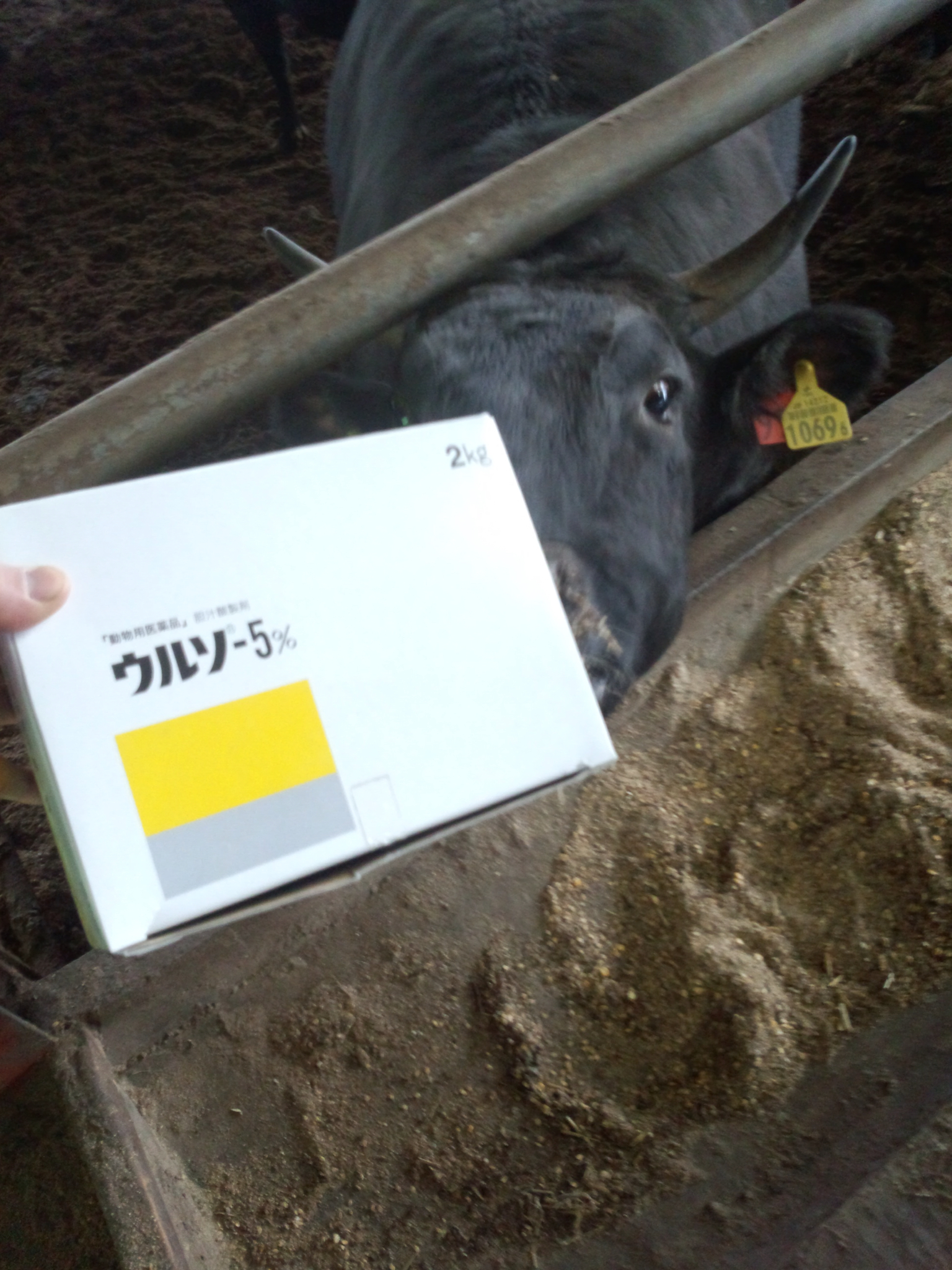 ウルソーの効き目 牛飼いのつぶやき ウルソーの効き目 牛飼いのつぶやき