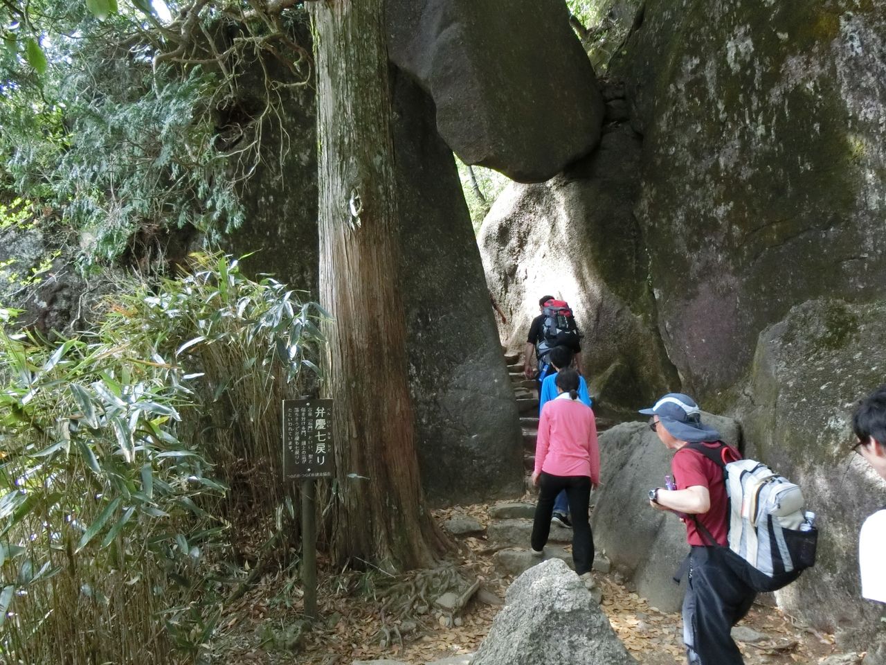 17 5 4 木 筑波女体山からつつじが丘 弁慶七戻り 茨城県 ウシ子とウシ夫の牛歩旅