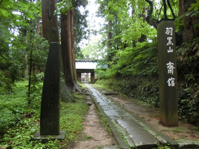 20190713_084800_CIMG2791