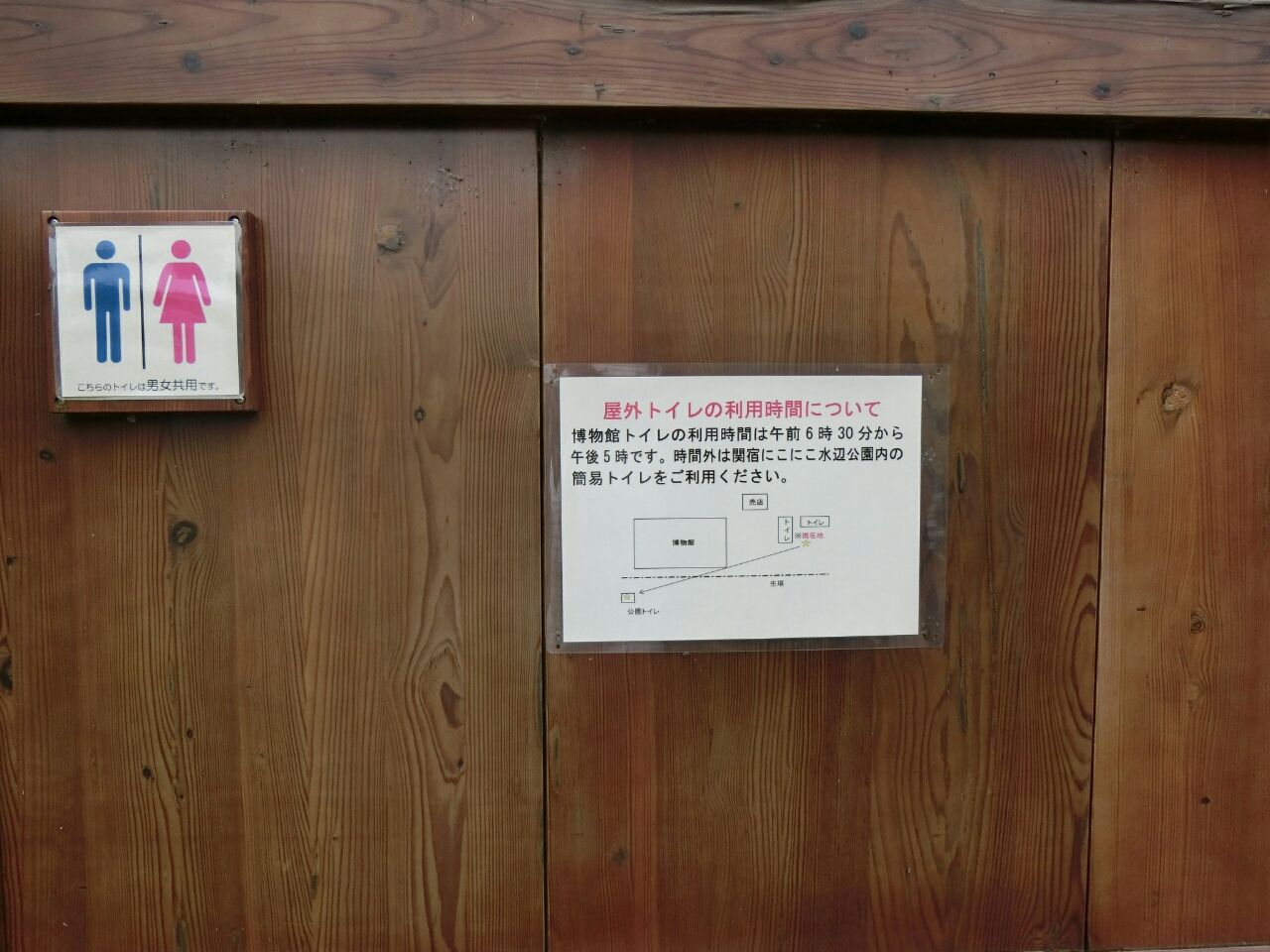 16 6 5 日 千葉県立関宿城博物館 千葉県 ウシ子とウシ夫の牛歩旅