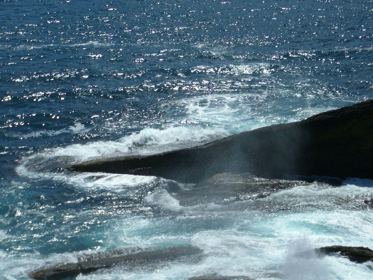06 8 15 火 崎山の潮吹穴 岩手県 ウシ子とウシ夫の牛歩旅 06 8 15 火 崎山の潮吹穴 岩手県 ウシ子とウシ夫の牛歩旅