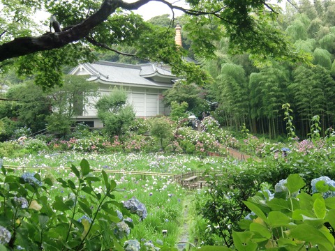 20130616_101337_CIMG1764