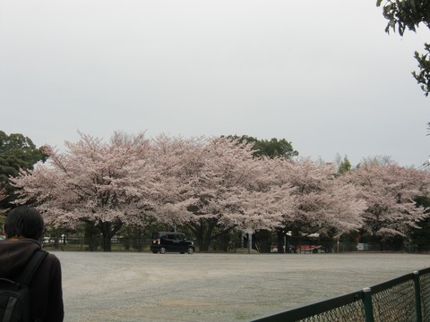 20150329_130708_CIMG4381