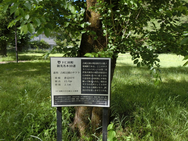 180520_082619