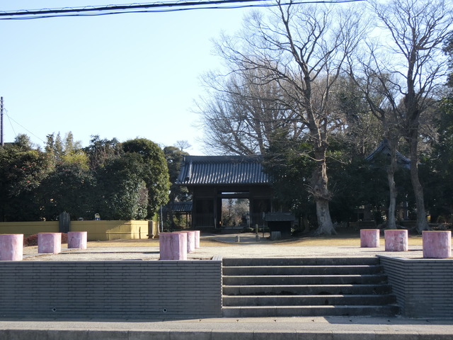 20190202_101537_CIMG6083
