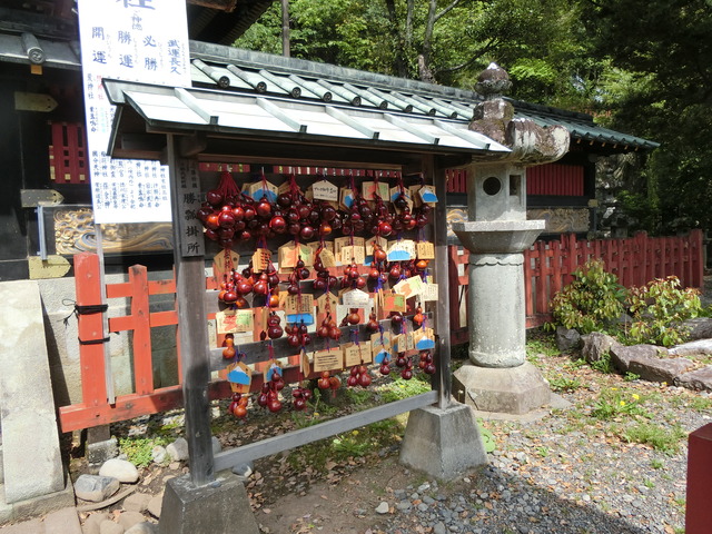 20190505_093248_CIMG1286