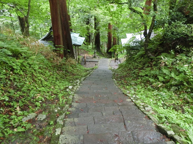 20190713_094029_CIMG2840