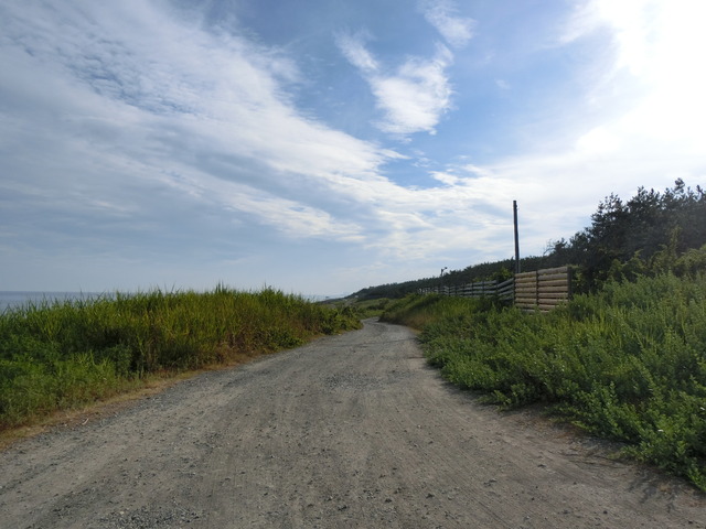 20180728_070311_CIMG1302