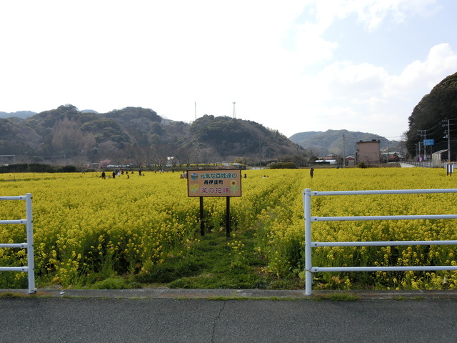 20190302_132752_CIMG7526