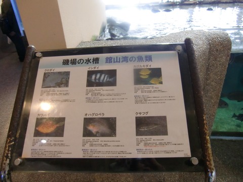20170218_161719_CIMG5114