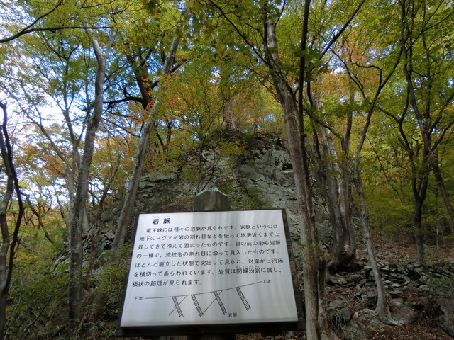 20171104_081139_CIMG6511