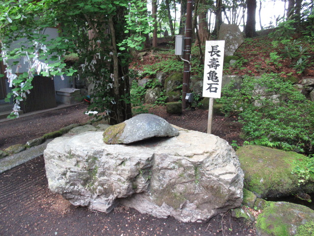 20180527053514_IMG_2239