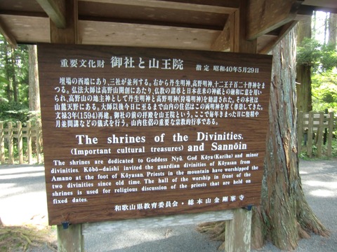 20130720_145425_CIMG1893