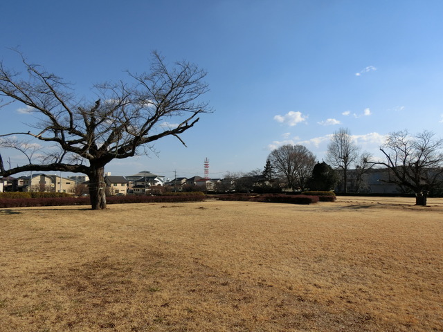 20190127_135512_CIMG5974