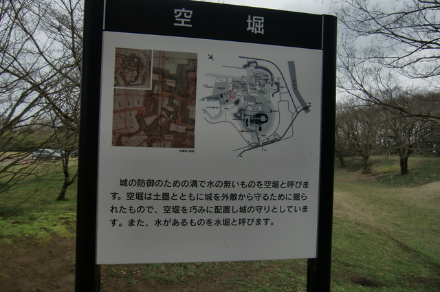 20170401_140044_CIMG7554