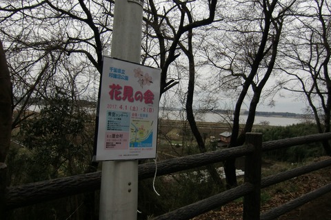 20170401_121902_CIMG7439