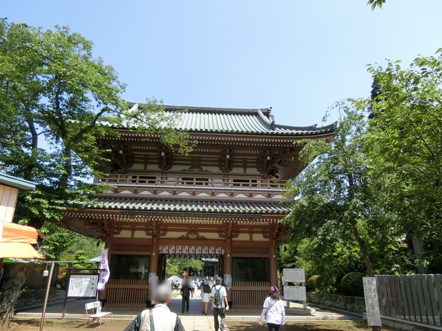 20180609_095546_CIMG0162