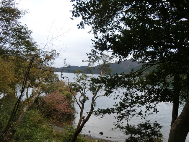 20181103_100820_CIMG3329