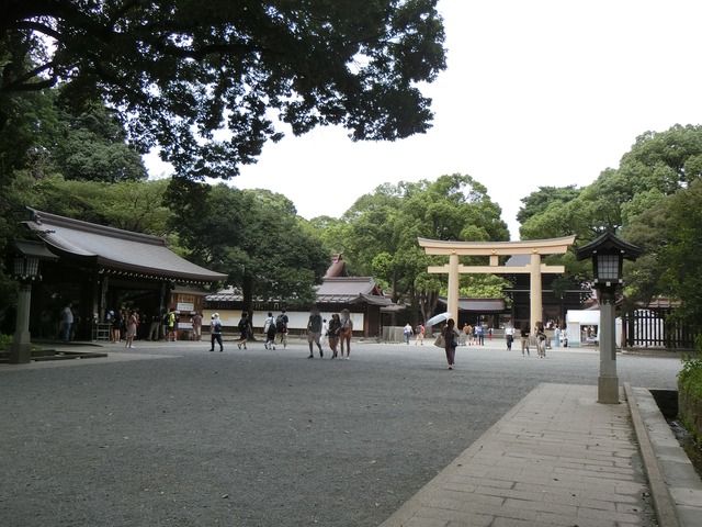 20190903_124219_CIMG5067