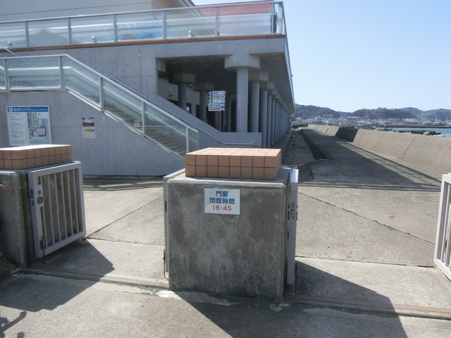 20200223_111301_CIMG8972