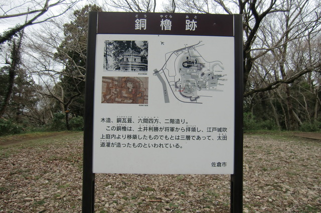 20170401_141318_CIMG7583