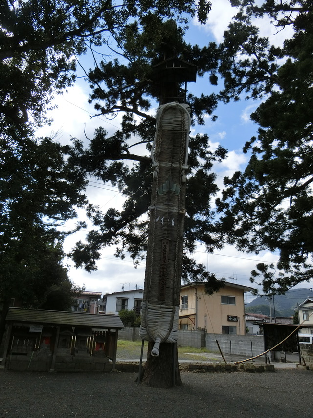 20190914_145314_CIMG5305