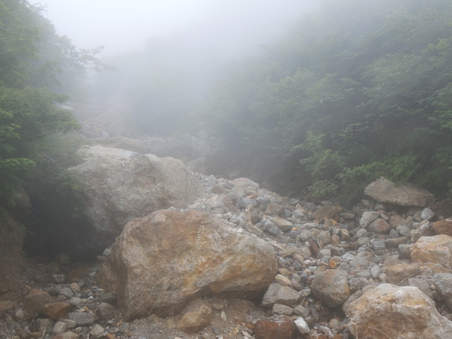 20190711_114718_CIMG2155
