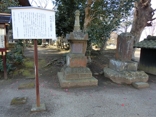 20190202_101710_CIMG6085