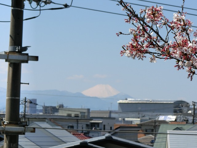 20190413_111619_CIMG8202
