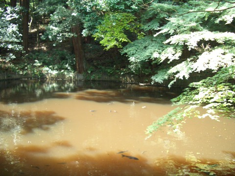 20110803_095553_CIMG3043
