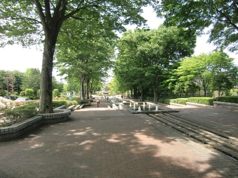 20110515_123717_CIMG0569