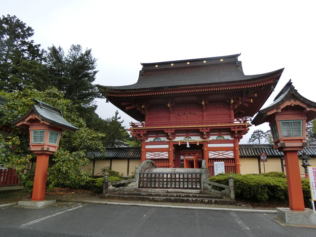 20190430_144613_CIMG9907